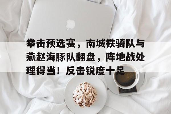 拳击预选赛，南城铁骑队与燕赵海豚队翻盘，阵地战处理得当！反击锐度十足的简单介绍