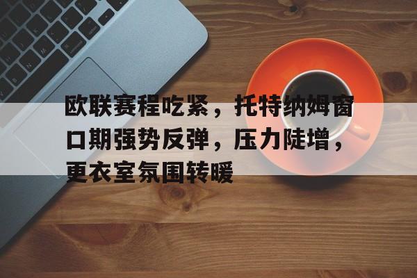 爱游戏-包含欧联赛程吃紧，托特纳姆窗口期强势反弹，压力陡增，更衣室氛围转暖的词条