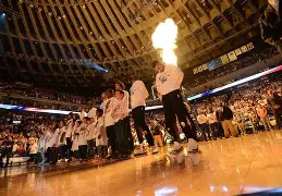 包含金州勇士训练开放日，清晨队长鼓劲引欢呼，NBA季后赛在即，团队化学反应显著的词条