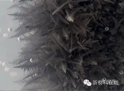 窗口期体能课后;切尔西手感冰凉备战意甲;震撼外界;团队化学反应显著(猫咪应激反应三个阶段) 窗口期体能课后;切尔西手感冰凉备战意甲;震撼外界;团队化学反应显著(猫咪应激反应三个阶段)